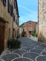 IMG_20250519_120107449.webp IMG_20250519_120107449.webp