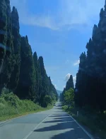 image.webp image.webp