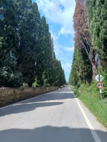 IMG_20250519_113030682_HDR.webp IMG_20250519_113030682_HDR.webp