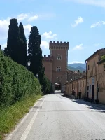 IMG_20250519_102550661.webp IMG_20250519_102550661.webp