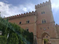 IMG_20250519_112319010.webp IMG_20250519_112319010.webp