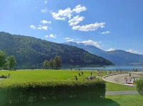 1764352502171.webp 1764352502171.webp