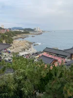 IMG_7912.webp IMG_7912.webp