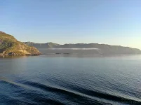 1764696554100.webp 1764696554100.webp