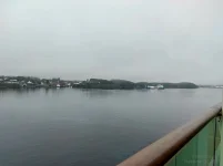 1764784707484.webp 1764784707484.webp