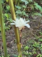 IMG_5249.webp IMG_5249.webp