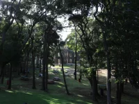 IMG_2681.webp IMG_2681.webp