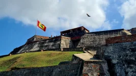 20251210_160951.webp 20251210_160951.webp