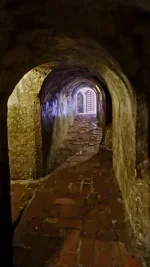 20251210_162438.webp 20251210_162438.webp