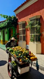 20251210_171701.webp 20251210_171701.webp