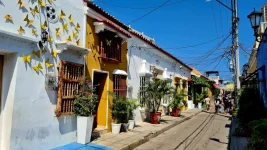 20251210_171810.webp 20251210_171810.webp