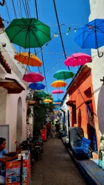 20251210_171838.webp 20251210_171838.webp