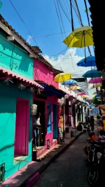 20251210_171953.webp 20251210_171953.webp