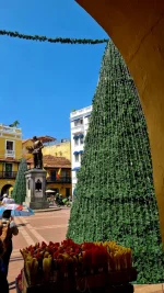 20251210_184409.webp 20251210_184409.webp