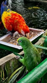 20251210_211828.webp 20251210_211828.webp