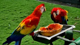 20251210_211656.webp 20251210_211656.webp