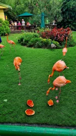 20251210_211757.webp 20251210_211757.webp