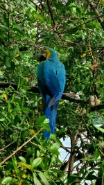 20251210_211855.webp 20251210_211855.webp