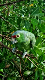 20251210_211842.webp 20251210_211842.webp