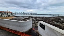 20251211_203816.webp 20251211_203816.webp