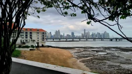 20251211_203954.webp 20251211_203954.webp