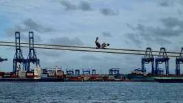 20251211_224435.webp 20251211_224435.webp