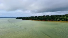 20251212_194207.webp 20251212_194207.webp