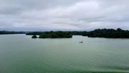 20251212_191849.webp 20251212_191849.webp