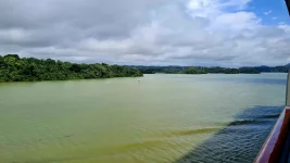 20251212_194232.webp 20251212_194232.webp