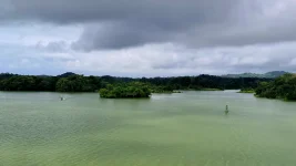 20251212_194756.webp 20251212_194756.webp