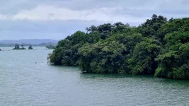 20251212_191309.webp 20251212_191309.webp