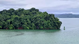 20251212_191919.webp 20251212_191919.webp