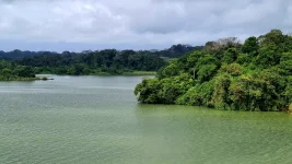 20251212_194826.webp 20251212_194826.webp