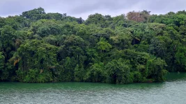 20251212_191254.webp 20251212_191254.webp