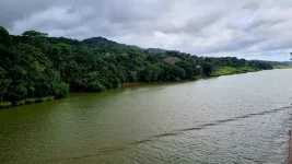 20251212_203358.webp 20251212_203358.webp