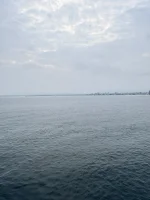 IMG_6204.webp IMG_6204.webp