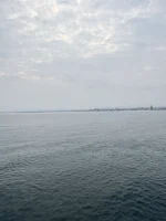 IMG_6205.webp IMG_6205.webp