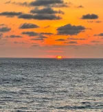 IMG_6194.webp IMG_6194.webp