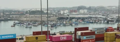 IMG_6242.webp IMG_6242.webp