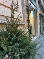 IMG_20251230_110447086_HDR.webp IMG_20251230_110447086_HDR.webp