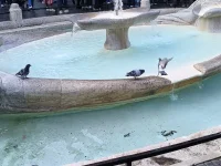 IMG_20251122_113825287.webp IMG_20251122_113825287.webp