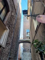 IMG_20251230_114104967_HDR.webp IMG_20251230_114104967_HDR.webp