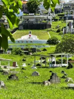 IMG_7774.webp IMG_7774.webp