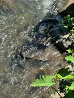 IMG_7778.webp IMG_7778.webp