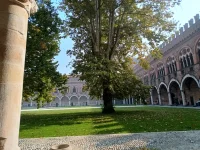 IMG_20251012_132950875_HDR.webp IMG_20251012_132950875_HDR.webp