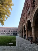 IMG_20251012_133025105_HDR.webp IMG_20251012_133025105_HDR.webp