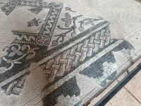 IMG_20251012_140557753.webp IMG_20251012_140557753.webp