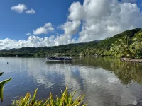 IMG_7870.webp IMG_7870.webp