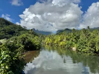 IMG_7876.webp IMG_7876.webp