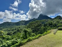 IMG_7878.webp IMG_7878.webp